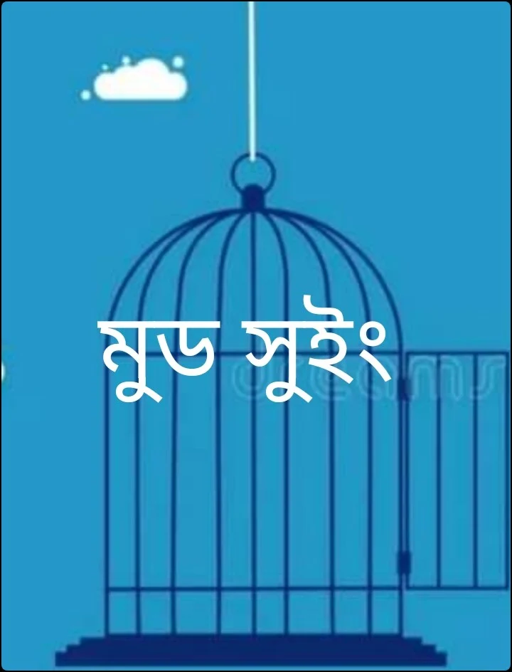 মুড সুইং