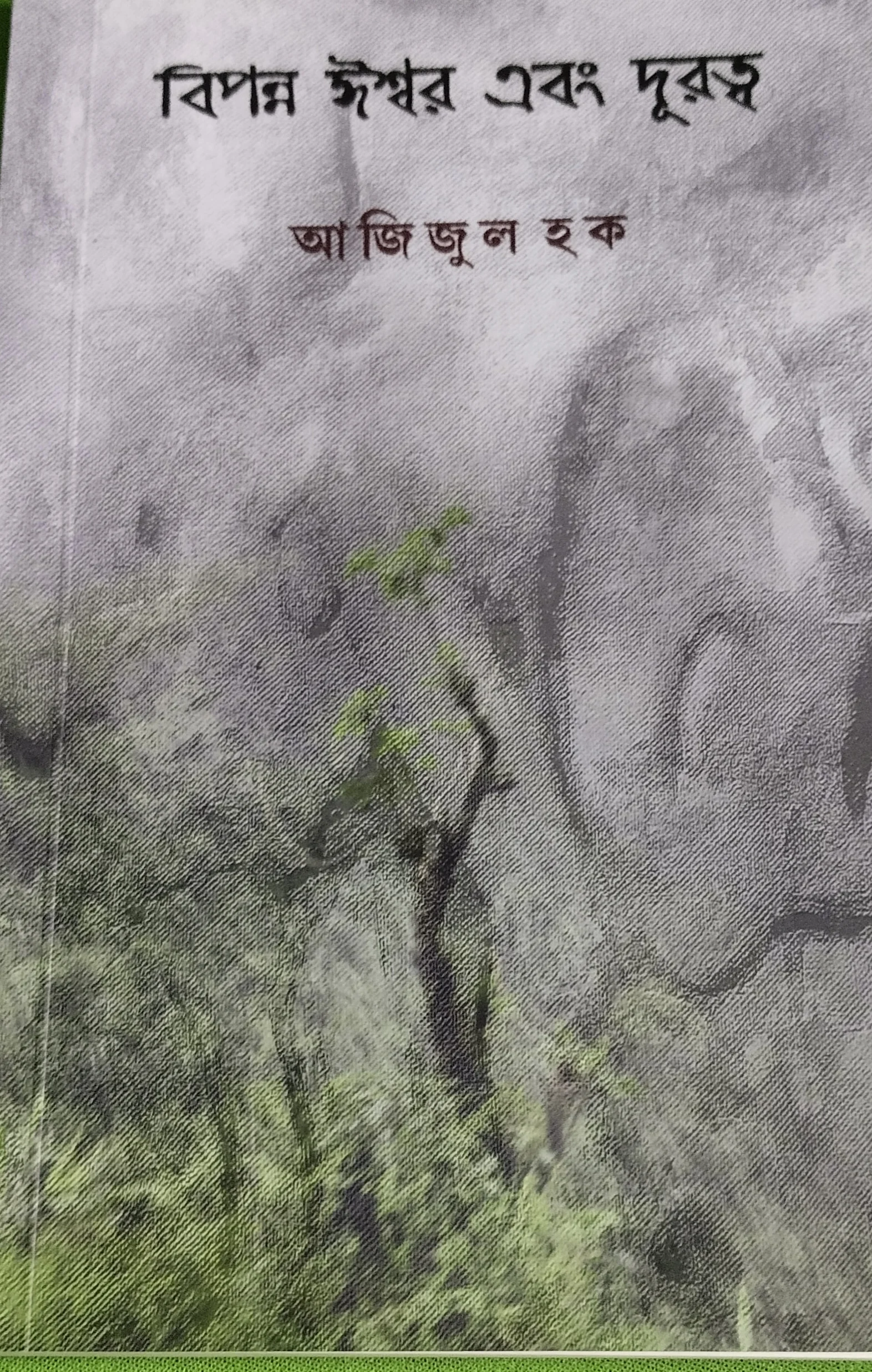Book Cover