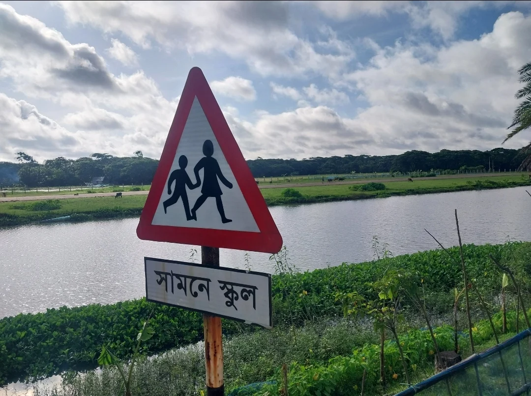 রাজিবুল আলম