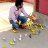 রহমান জু‌য়েল