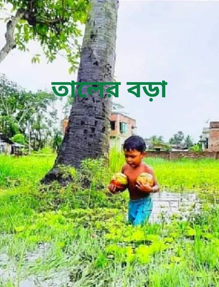 তালের বড়া