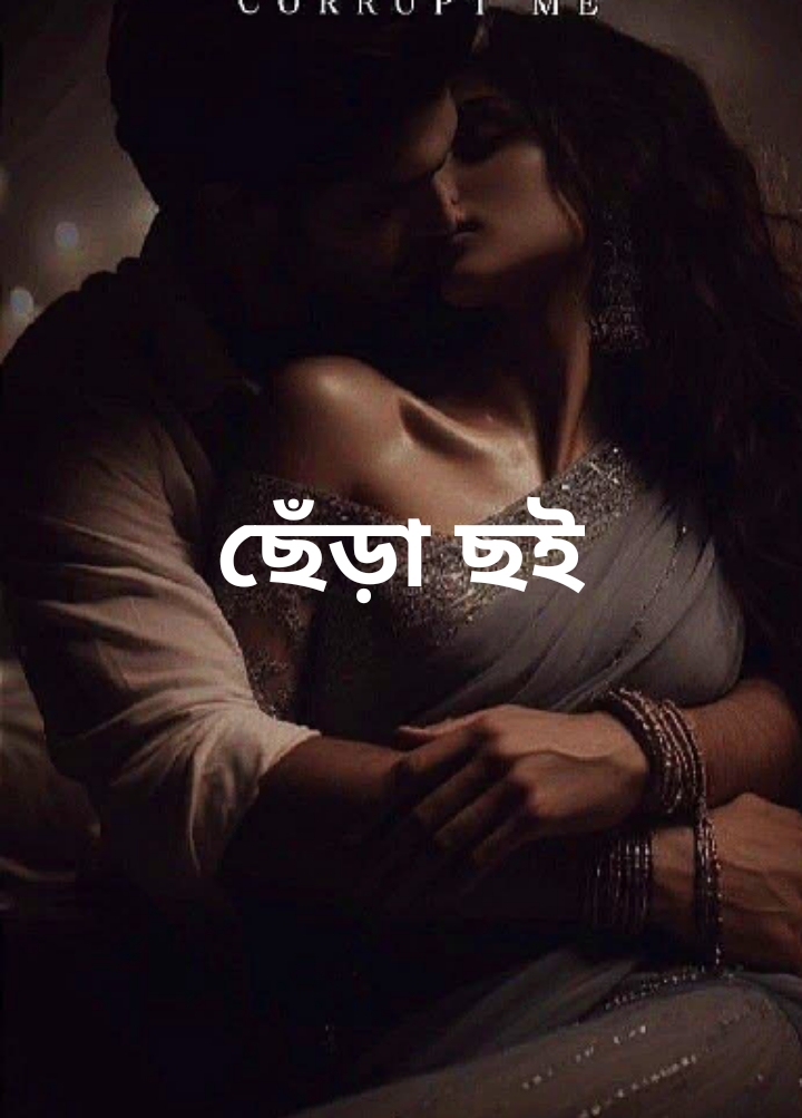 ছেঁড়া ছই