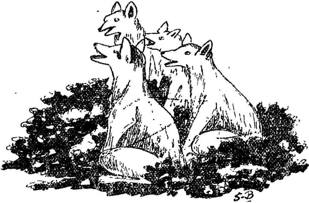 ছেলেদের ছন্দ সুনির্মল বসু Sunirmal Basu