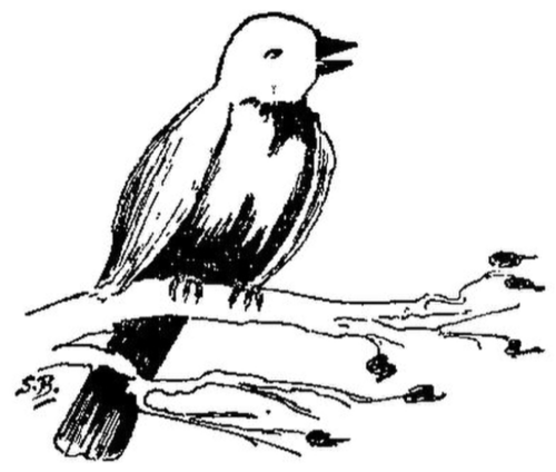 ছেলেদের ছন্দ সুনির্মল বসু Sunirmal Basu