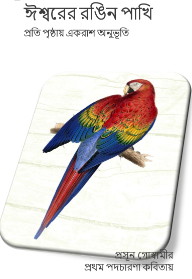 ঈশ্বরের রঙিন পাখি