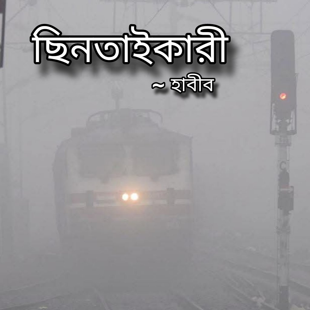 ছিনতাইকারী