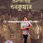 কলিকাতায় নবকুমার (বঙ্কিম পুরষ্কারে সম্মানিত)(মানবিক মেগা উপন্যাস)